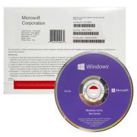 Windows 10 Pro DVD Lisans